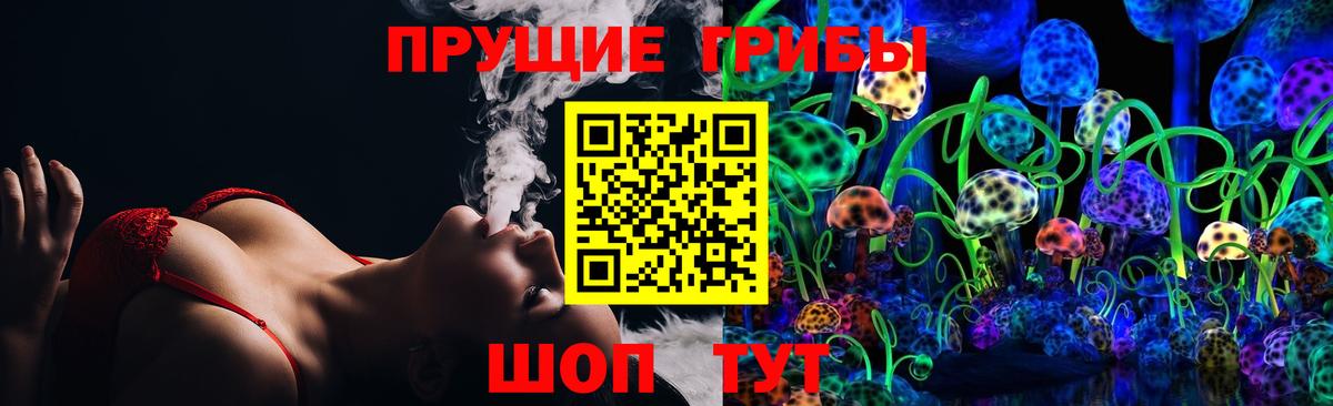 Каменка  Псилоцибиновые грибы мухоморы  Вход с VPN 
