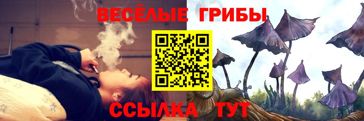 Галлюциногенные грибы ЛСД Каменка